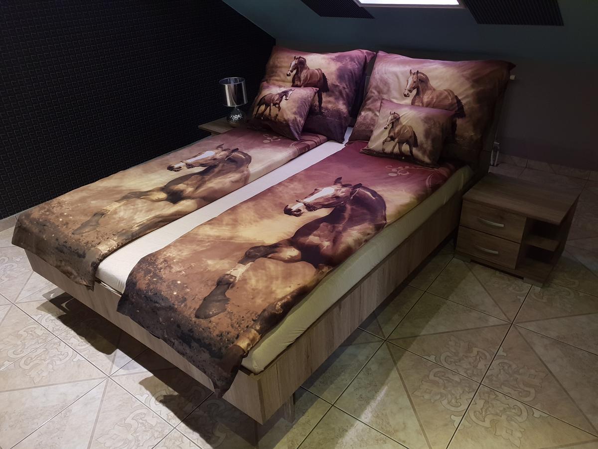 Ádám Apartmanház Apartment Szeged Ngoại thất bức ảnh